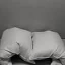 Puredown Goose Feathers And Down White Pillows With 100% Cotton Cover, Bed Sleeping Hotel Collection Pillows Set Of 2, Standard Size