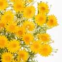 Artificial Daisy Flowers 25.6 Inch Faux Wildflowers Bouquet Fake Yellow Daisies for Vase Lifelike Chrysanthemum Flowers for Home Wedding Decor Farmhouse Tabletop Centerpieces Arrangements - Yellow