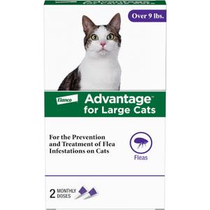Advantage Topical Cat Flea Treatment and Prevention for Large Cats Over 9 lbs. | Apply Flea Drops Monthly | 2 Treatments (2 Dose (Pack of 1))