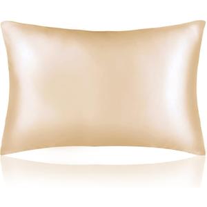 Sutuo Home Silk Pillowcase for Hair and Skin Care, Both Sides 19 Momme Mulberry Pure Real Silk Pillow Case Cover with Zipper, Soft and Smooth for Better Cool Sleep, Standard 20"x26", Champagne 1 PC