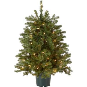 National Tree Company 3 ft Pre-Lit Hampton Spruce Mini Artificial Christmas Tree, 100 Clear Lights, 579 Tips, Green Growers Pot