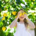 2 x The Ultimate Soil Mix for Perfectly Tangy Citrus Limon Trees - Discover Gardenera's Revolutionary Lemon Tree Potting Mix - [1 Quart Bag]