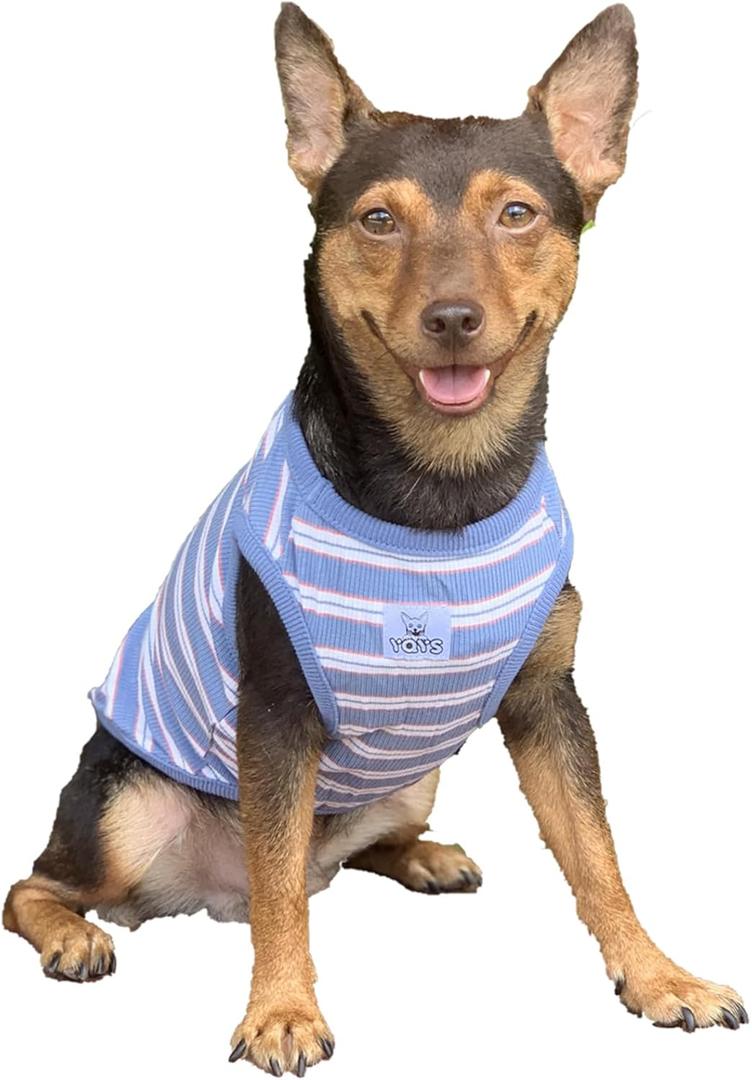 4 x YQYS Dog Shirts Multi-Color Striped Cotton Vest for Small Dogs and Cats Puppy Clothes Teacup Dog Clothing Tank Top for Chihuahua Miniature Pinscher Blue Small