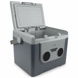 Ilive Camp Cooler with Bluetooth Speaker 22 Quart，48 Hours Ice Retention, Portable Handle, Outdoor Camping Cooler for BBQs, Beach, Hiking