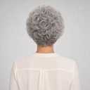 Short Curly Wigs for Women Heat Resistant Synthetic Hair Wave Womens Wigs (Grey)