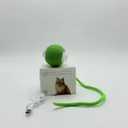Interactive cat Toys for Indoor Cats 4 Pack