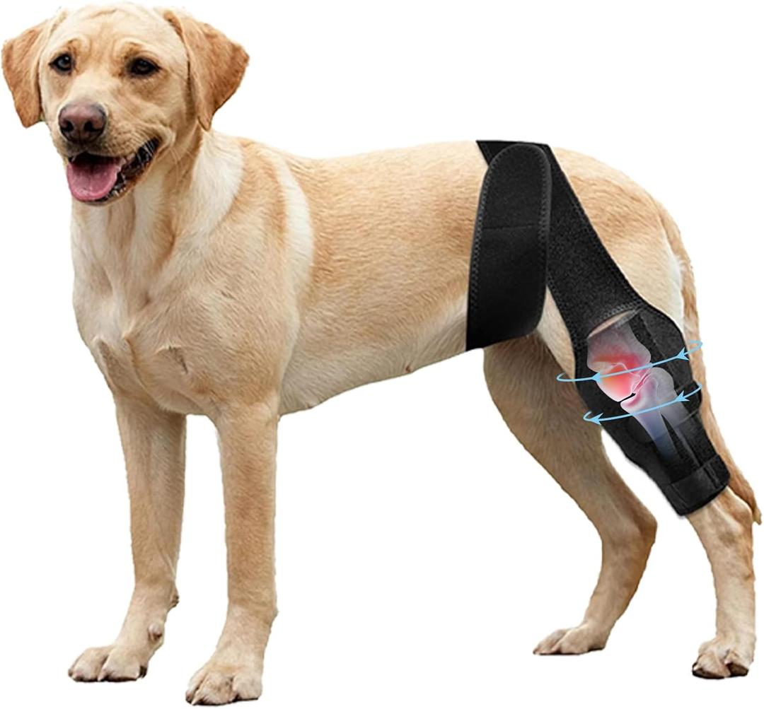 Dog Knee Brace for Torn Acl Hind Leg, Relieves Ligament Injury and Joint Pain, Adjustable Leg Support Bracket for Warmth and Support (Size M)