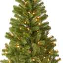 National Tree Company 4 ft Pre-Lit Grande Canadian Fir Mini Artificial Christmas Tree, 100 Clear Lights, 230 Tips, Includes Stand, Green
