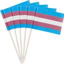 4 x stidsds 100 Pcs Pride Rainbow Flag Transgender Toothpick Flags Mini Small Gay LGBTQ Cupcake Toppers Stick Flags Banner Rainbow Party Cocktail Fruit Decoration