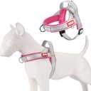 Dog Harness and Leash Set No Pull Padded Adjustable Harness with Handle + 5ft Leash for Small Medium Sized Dogs, Lightweight Escape Proof and Quick Fit Harness for Training Walking,( XL)