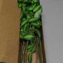 Waipfaru 5PCS Greenery Stems for Vases, 32.7 inch Artificial Eucalyptus Green Fake Leaves Branches, Faux Olive Silk Plants for Centerpieces Vase Filler Home Kitchen Pottery Barn Decor