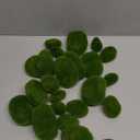 YOOHUA 30PCS 3 Size Artificial Moss Rocks Decorative, Green Moss Balls,Moss Stones, Green Moss Covered Stones, Fake Moss Decor for Floral Arrangements, Fairy Gardens and Crafting