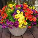 maxkes Artificial Flowers for Outdoors, UV Resistant Fake Silk Morning Glory, Realistic Faux Plants for Outside Porch Patio Window Box Hanging Planter (16, Purple Fuchsia Yellow Orange)