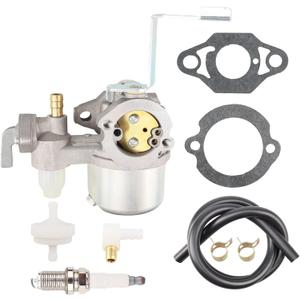 796447 Carburetor for BS 122332 122336 122337 122352 122362 122366 122367 122432 122435 122436 122437 Series Horizontal Engine