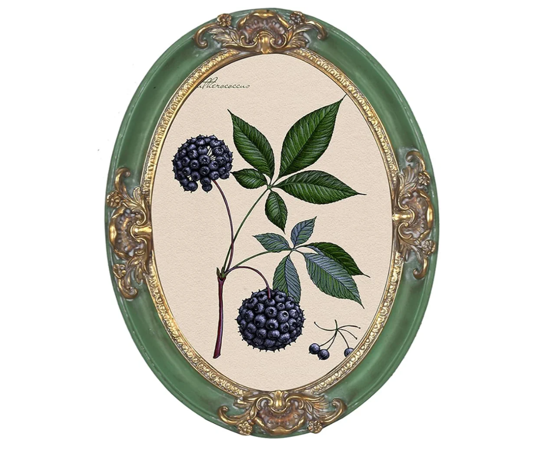 PARAFAYER Vintage Oval Picture Frame 5x7 Inch, High Definition Glass Front, Retro Home Decor Art Gallery (Green and Gold Oval 5x7)