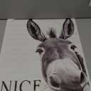 DSWEGVR Black and White Donkey Bathroom Wall Art Decor Nice Ass Funny Donkey in Bathroom Picture Poster Fun Animal Canvas Print Farmhouse Humor Wall Decor for Home Washroom Toilet 16x24inch Unframed