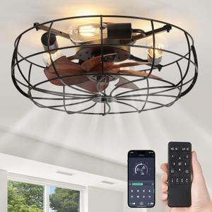 LEDIARY 20" Caged Ceiling Fans with Lights and Remote, Flush Mount Bladeless Ceiling Fan Low Profile, Small Farmhouse Industrial Enclosed Ceiling Fan with Light for Bedroom, Kitchen, Indoor (20 Inch)