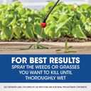 Roundup Weed & Grass Killer Concentrate, Use in and Around Flower Beds, Walkways and Other Areas of Your Yard, 1 gal.