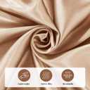 BALAPET 2 Pack Satin Cervical Pillowcase, Smooth & Soft Pillow Case Cover,Ergonomic Pillowcase with Zipper,Cover Only(Champagne)
