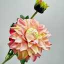 3 Pieces Pink Artificial Dahlias,21"Silk Flowers with Stems,Winter Flowers Artificial for Decoration,Long Stem Artificial Flowers for Tall Vase,Wedding Party Decor Spring Decorations for Home (Pink)
