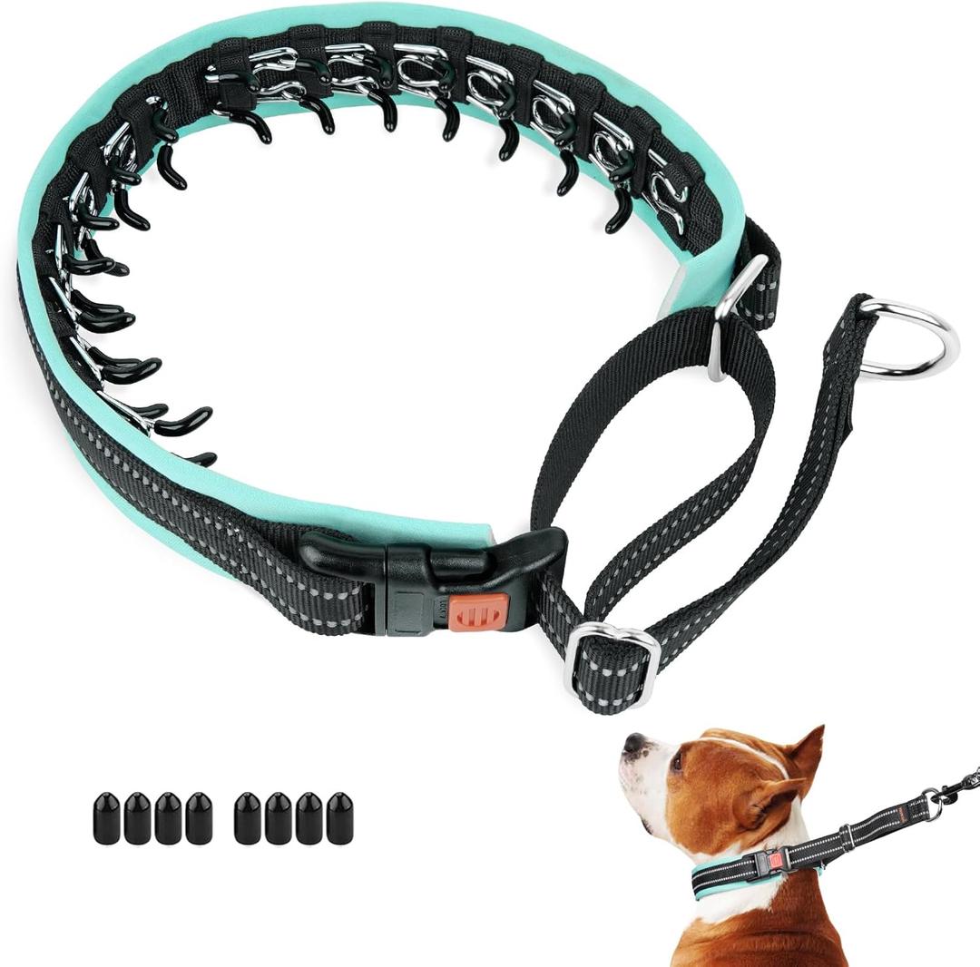 Mayerzon Martingale No Pull Collar for Small Dogs, Patented Anti Pull Dog Collar with Buckle for Walking Training, with Neoprene Padding and Reflective Stitching, Adjustable(Teal Trim, S) (Small, 2.5mm, 11.5"-14.5"Neck)