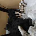 Haunted Hill Farm 3.0-Ft. Life-Size Animatronic Possessed Woman