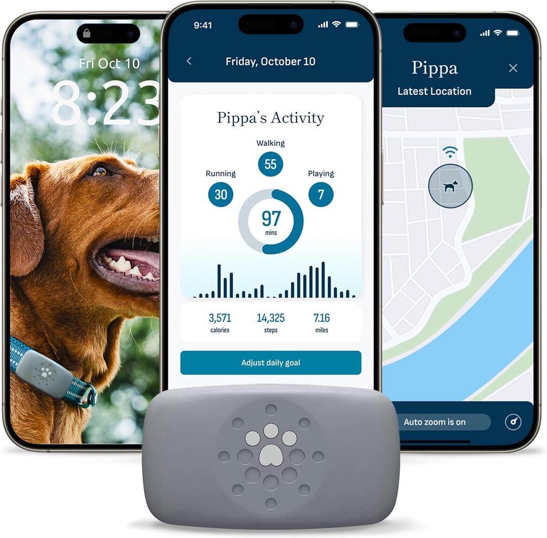 Petivity Smart GPS and Activity Pet Tracker for Dogs Powered by Purina, Waterproof Real Time Tracking GPS Dog Collar, Downloadable App, Subscription Required