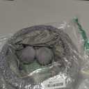 PAWZ Road Cat Tunnel Collapsible S Shape Cat Tunnels for Indoor Cats Cat Play Tube 51 Inches Long 10.5 Inches in Diameter