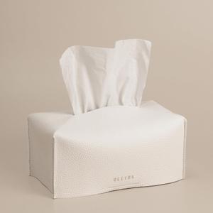 OLETHA Aesthetic Rectangle Tissue Box Cover, Medium Flat Box Tissues Holder Rectangular, (Fits Medium Flat Box (110-160 Sheets))