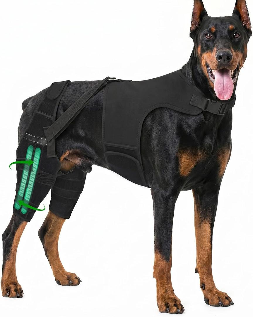 Dog Leg Braces for Back Leg, Adjustable Dog Knee Brace with 4 Stabilizers, Hip Support to Reduces Pain, Ligament Injuries & Luxating Patella & ACL CCL for Dogs