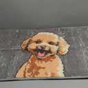 Muddy Mat® Absorbent Microfiber Door Mat and Pet Rug, Non Slip Washable Chenille Indoor Outdoor Entry Rug -  Welcome Mat Entryway 19"x30"