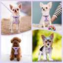 Lukovee No Pull Puppy Harness and Leash Set - Soft Lightweight Escape Proof Puppy Vest Harness, Breathable Adjustable Pet Harness with Dog Leash for Small Dogs (Purple, XXS)