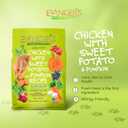 Evanger's Grain Free Chicken with Sweet Potato & Pumpkin Dry Food for Dogs  16.5 lb Bag  Deboned Chicken, Omegas 3 & 6, Probiotics  All Life Stages Formula (EXP 02/11/27)