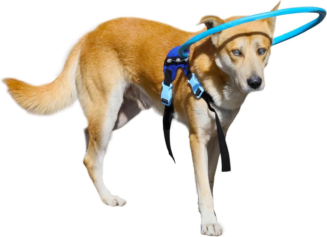 LetPetRun Protective Halo Harness for Blind Dogs,Adjustable Protective Ring Collar Vest, Safe Walking Navigation Aid for Visually Impaired Dogs (21"-25")