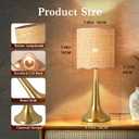 Ziqqeelam Gold Rattan Table Lamp for Bedroom, Brass Cute Wicker Lamps for Bedside Nightstand, Small Table Shape Lamps for Small Spaces for Kitchen Counter, Home Office, Living Room, Kids Dorm