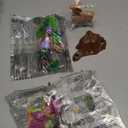 Playmobil Starter Pack Fairies with Forest Animals