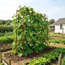 2 Pack Cucumber Trellis, Trellis for Climbing Plants Outdoor, 58" L x 14" W x 47" H Heavy Duty Metal Garden Plant Support for Raised Beds, Peas, Okra, Vines & Flowers
