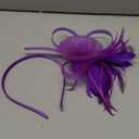 Hair Clip And Hair Band, Purple, X004OE9DTN