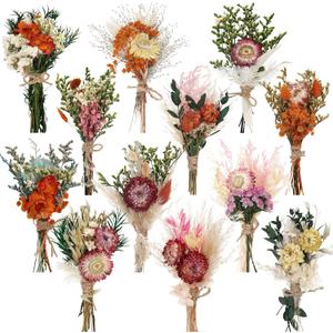 Layhit 12 Pcs Boho Dried Flower Bouquet Mini Wedding Handmade Dry Flowers Decor for Vase Crafts DIY Photo Boutonniere for Men Floral Plant for Bridesmaid Gift Birthday Decor(African Daisy)