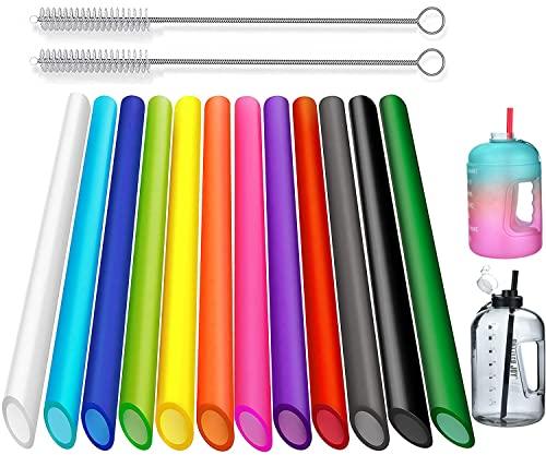 ALINK 12 PCS Reusable Plastic Boba Straws, 13 inch Long 0.51 inch Extra Wide Smoothie Straws for 1 Gallon, 64/32 oz Water Bottles, Bubble Tea, Tapioca Pearls