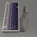 AULA F75 Pro Wireless Mechanical Keyboard,75% Hot Swappable Custom Keyboard,RGB Backlit,Pre-lubed Linear Switches,Side Printed PBT Keycaps Mechanical Gaming Keyboards,Gradient Purple