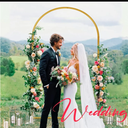 Wedding Arch Backdrop Stand Set of 1 Wedding Arches for Ceremony Chiara Backdrop Stand 3.9FT×7.2FT Metal Arch Backdrop Stand Round Arch Backdrop Stand