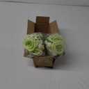ZINHO 2 Packs Artificial Peony Flowers, 10 Heads & 8 Buds, Realistic Fake Silk Flowers for Home Decor, Wedding Bouquets DIY Crafts Includes 2 Ties & 1.8m Ribbon (Green)