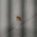 DUKAKII Women's Summer Dress Boho Short Sleeve Mini Dresses Square Neck Ruffle Mini Beach Dresses Milk White, Size M