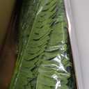 FOREST PRINCE 35" Ferns Artificial Bush Plants Large, 2 Artificial Boston Ferns with 39 Fronds for Outdoors Home Decor
