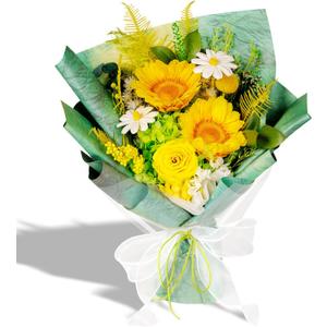 Bonsion Preserved Flowers for Delivery, Gold and Silver Rose Bouquet Gift for Women and Mom, Long Lasting Floral Arrangement for Birthday & Anniversary