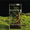 Acrylic Terrarium for Reptiles & Spiders  Small/Medium/Large Leak-Proof Enclosure (Horizontal/Vertical) | Ideal for Tarantulas, Jumping Spiders, Frogs & Geckos (Small, Square Vertical)