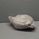 Comfort Spaces 100% Cotton Sheets Full, Breathable & Ultra Soft Cotton Sheets, Naturally Cool Cotton Bed Sheets with 14" Elastic Pocket Fits up to 16" Mattress, All Seasons Sheet Set, Cream 4 Piece