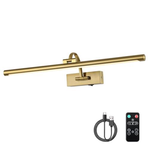 DESOOP Wireless Picture Lights with Remote and Timer Rechargeable Brass Gallery Lighting Battery Operated Art Lights Over Frame Portrait 5W 24'' Inch Warm White