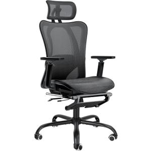Ergonomic Office Chair, Adjustable Lumbar Support, 3D Headrest, Flip-Up Armrests, Retractable Footrest, High-Back Mesh Design, Comfortable Desk Chair for Home and Office, Black